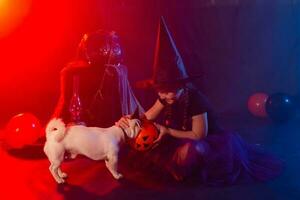 Halloween and celebration concept. Child girl in witch costume with Halloween pumpkin playing with dog jack russell terrier photo