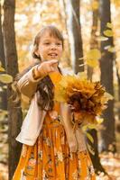 Little kid girl with autumn orange leaves in a park. Lifestyle, fall season and children concept. photo