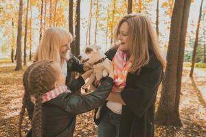 Mother and grandmother and daughter holds jack russell terrier and plays with it in autumn outside. Pet and family concept photo