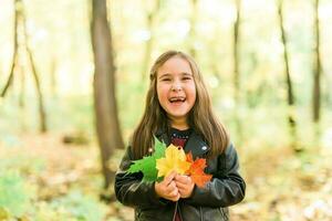 otoño retrato de linda pequeño asiático muchacha. niños, otoño y temporada concepto. foto