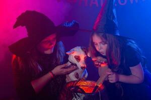 Two halloween witches making a potion and conjure in halloween night. Magic, holidays and mystic concept. photo