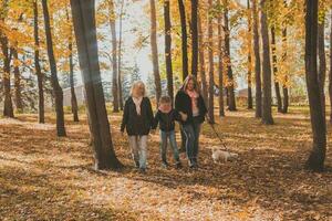 Grandmother and mother with granddaughter walks together in autumn park and having fun. Generation, leisure and family concept. photo