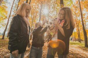 Mother and grandmother and daughter holds jack russell terrier and plays with it in autumn outside. Pet and family concept photo