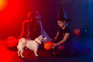 Halloween and celebration concept. Child girl in witch costume with Halloween pumpkin playing with dog jack russell terrier photo