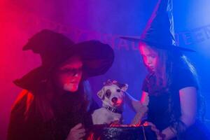 dos Víspera de Todos los Santos brujas haciendo magia con perro Jack Russell terrier en Víspera de Todos los Santos noche. magia, Días festivos y místico concepto. foto