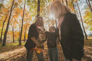 Mother and grandmother and daughter holds jack russell terrier and plays with it in autumn outside. Pet and family concept photo