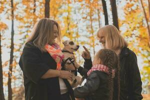 Mother and grandmother and daughter holds jack russell terrier and plays with it in autumn outside. Pet and family concept photo