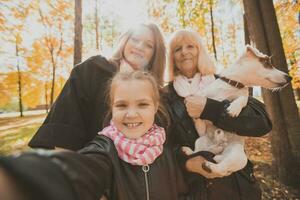 Three generations of women and dog feel fun look at camera posing for self-portrait picture together, funny excited child, mom and grandmother have fun enjoy weekend take selfie on gadget in autumn photo