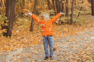 Boy throws up fallen leaves on a background of autumn landscape. Childhood, fall and nature concept. photo