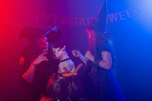 Funny child girl and woman in witches costumes for Halloween with dog. photo