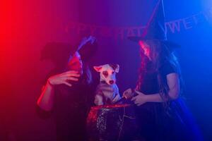 Two halloween witches making magic in halloween night. Magic, holidays and mystic concept. photo