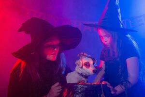 Funny child girl and woman in witches costumes for Halloween with dog. photo