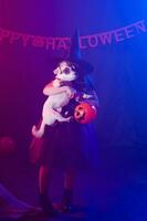 Funny child girl in witch costume for Halloween with pumpkin Jack and dog. photo