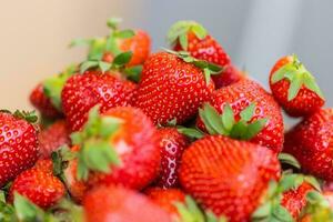 Strawberry fresh organic berries macro. Fruit background - healthy vitamin food concept photo