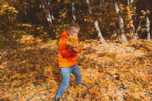 chico lanza arriba caído hojas en un antecedentes de otoño paisaje. infancia, otoño y naturaleza concepto. foto