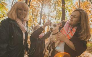 Grandmother and mother with granddaughter having fun with dog in autumn season. Generation, leisure and family concept photo