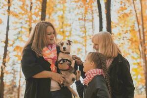 Mother and grandmother and daughter holds jack russell terrier and plays with it in autumn outside. Pet and family concept photo