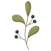 Autumn forest black berry on twig with leaf illustration. vector