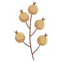 Autumn forest white berry on twig illustration. vector