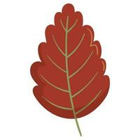 Autumn forest leaf illustration. vector