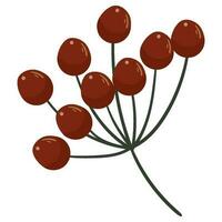 Autumn forest rowan red berry on twig illustration. vector