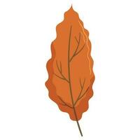 Autumn forest leaf illustration. vector
