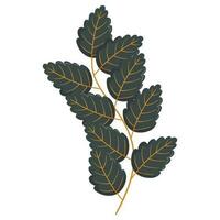 Autumn forest leaf branch illustration. vector