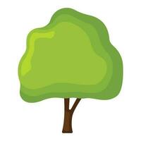 concepto árbol orgánico natural pino y abeto bosque icono vector ilustración botánico gráfico madera paisaje, aislado en blanco.