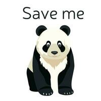 Panda say save me. Vector illustration. Isolated on white background. Save wild animal. Save panda.