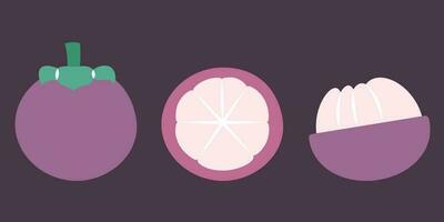 Whole and cut mangosteen. vector