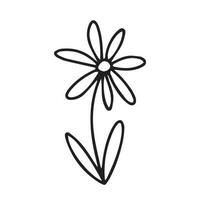 Doodle summer flower illustration. Vector daisy flower doodle