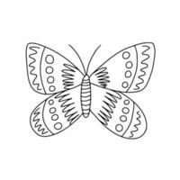 Vector cabbage butterfly coloring page. Hand drawn butterfly sketch on white background