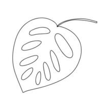 Monstera leaf doodle sketch. Hand drawn vector monstera leaf