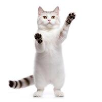 Funny dancing cat on white background. The cat stands on its hind legs in full height, as if dancing or drunk. Generative AI photo