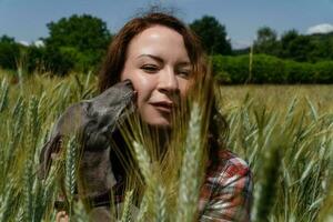 Close up view of happy woman with greyhound dog in the middle of a wheat field. Nature and animals concept. photo