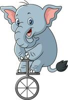 Cute elephant riding one wheel bike vector