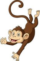 Cute little monkey cartoon on white background vector