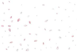 Sakura flying petals, romantic background. vector