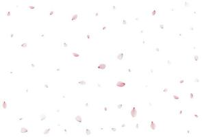 Sakura flying petals, romantic background. vector