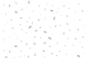 Sakura flying petals, romantic background. vector