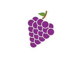 grape icon design template vector isolated