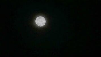 Blume Mond glänzend auf das dunkel Nacht Himmel zurück Wolke mit Wolke Vorbeigehen video