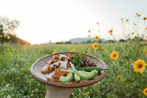 In Mexico, chilaquiles are a delicious and popular dish made with fried tortillas, sauce photo