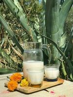 Savor the flavors of Mexico with pulque, a refreshing maguey drink photo