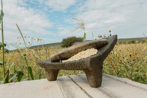 In Mexico, the metate is a symbol of tradition, connecting people with nature and food photo