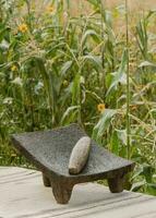 In Mexico, the metate is used to grind corn into a fine meal, connecting food and tradition photo