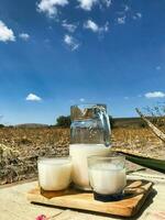 Sip the essence of Mexico with pulque, a divine maguey drink photo