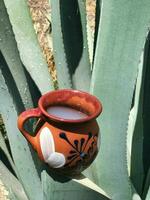 Pulque and maguey the essence of Mexico rich cultural heritage photo