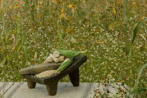 In Mexico, the metate is a symbol of tradition, connecting people with nature and food photo