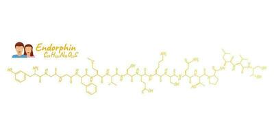 Human hormone endorphin concept chemical skeletal formula icon label, text font vector illustration, isolated on white. Periodic element table.